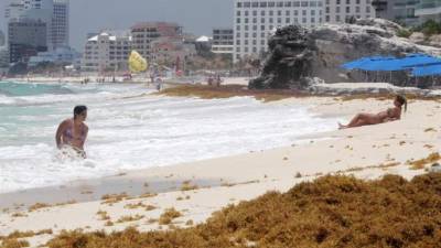 Los hoteles de la Riviera Maya y el Gobierno de Andrés Manuel López Obrador se buscan estrategias de largo plazo contra la invasión de sargazo que daña la industria turística en el caribe mexicano.
