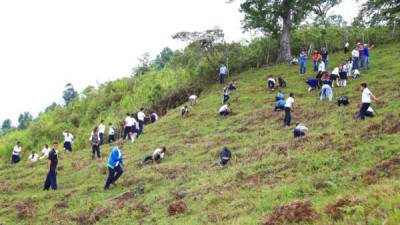 Estudiantes de primaria en El Merendón en una jornada de reforestación en la que se sembraron 600 árboles.