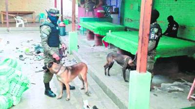 En el penal de Comayagua se encontró una antena para captar señal de sistema wi-fi.