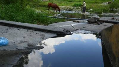 En un recorrido por los ríos de la ciudad se constató la contaminación.