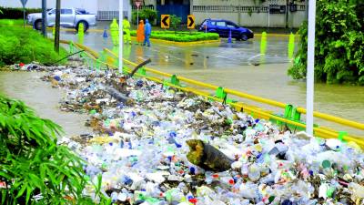 <b>Con las lluvias, los ríos arrastraron grandes cantidades de basura, pero las personas siguen tirando desechos en los cauces de los ríos. FOTOS: Franklin Muñoz</b>