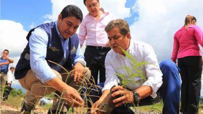 Momento en que Jorge Luis Pinto sembraba árboles.