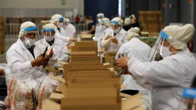 Fotografía fechada el 27 de abril de 2020, de trabajadores que elaborando despensas, en las instalaciones de la Expo Guadalajara, en el estado de Jalisco (México). EFE/Francisco Guasco