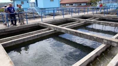 El servicio del agua potable será manejado por la alcaldía municipal.