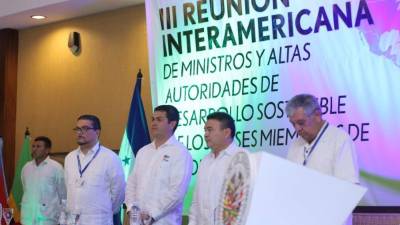 En el evento participan los países miembros de la Organización de Estados Americanos, OEA.