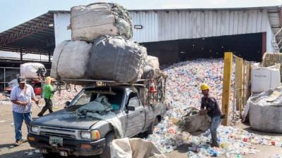Los plásticos son llevados por los recolectores y se separan contaminantes y etiquetas con máquina.