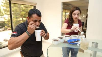 Las muestras de café que participan en la Taza de Excelencia son calificadas por catadores nacionales e internacionales.