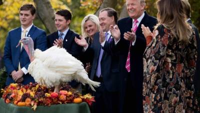 Donald Trump cumplió hoy con la tradición de indultar a dos pavos que se salvarán de ser degustados en Acción de Gracias, antes de partir hacia Palm Beach (Florida) para celebrar allí en familia esta festividad, la más popular del país.