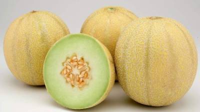 El melón es uno de los productos no tradicionales de Honduras que se ha colocado en varios países de América, Asia y Europa en los últimos años. EFE/Archivo