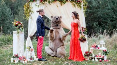 El oso Stepan se comportó muy bien en la boda.