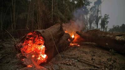 Más de un millar de nuevos incendios se declararon en las últimas horas en la Amazonía, mientras el ejército de Brasil intensifica los esfuerzos para aplacar las llamas que mantienen en vilo al mundo.