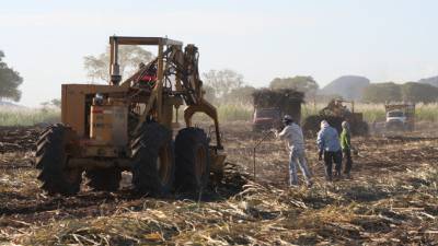 De ceder su porción Guatemala, Honduras podría exportar 2 mil toneladas métricas más del endulzante.