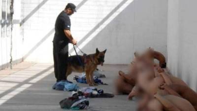 Los maltratos a los menores fueron revelados por el diario San Luis 24 de Argentina.