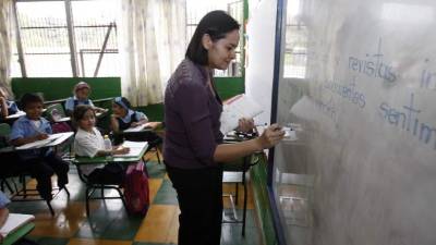 Los docentes aún no se pronuncian sobre el anuncio.