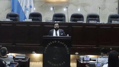 El presidente del Congreso Nacional, Luis Redondo.