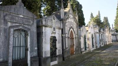 Fotografía facilitada por Miguel Conceição del cementerio dos Prazeres de Lisboa. EFE