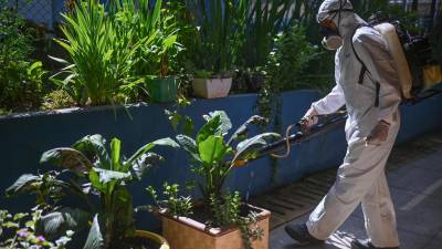 En Brasil se registra un brote sin precedentes, con 7.767 casos del virus de oropouche este año.