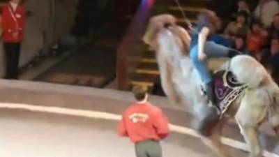 En el video que fue publicado en YouTube muestra que desde el principio todo le salió mal a la mujer. Desde que se rompe el pantalón hasta volar por los aires sin poder ser detenida. Foto YouTube