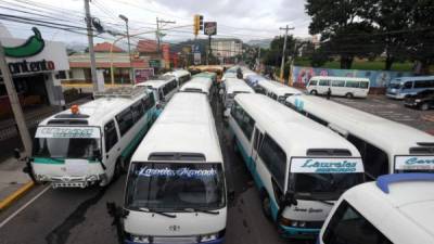 El paro será en el departamento de Olancho, Comayagüa, Lempira, Cortés y parte del sur del país.