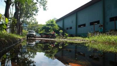 En condiciones de insalubridad reciben sus clases los estudiantes del Instituto La Ceiba.