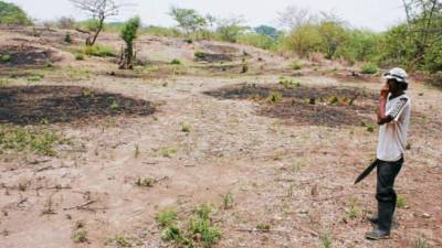 El presidente Juan Orlando Hernández, dijo que se prevé un déficit de alimentos en cerca de 146 municipios del país.