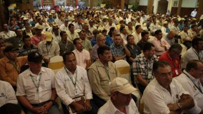 Los cafetaleros en el Congreso de ayer.