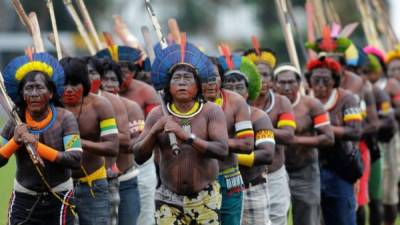 Líderes indígenas de la tribu de los ka'apor han recibido ataques de comerciantes implicados con la extracción ilegal de madera.