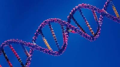 Investigan aspctos genético en el desarrollo del autismo.