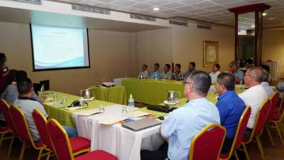 Gorgojo dañó 100 hectáreas de bosques de El Merendón