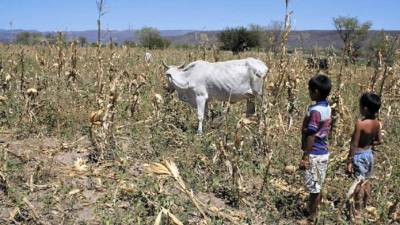 Las cifras de pobreza siguen en ascenso.