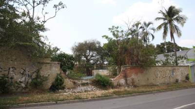 Terrenos llenos de maleza y basura se encuentran en diferentes puntos de la ciudad, incluso, a pocas cuadras del centro, los cuales se convierten en probables criaderos de zancudos.