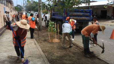 Empleados de la Municipalidad trabajan en los alrededores del Paz Barahona.