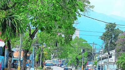 En San Pedro Sula se registraron 32 grados ayer.