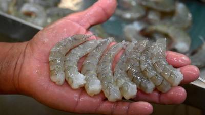 El bloqueo al camarón hondureño dejaría pérdidas de hasta 80 millones de dólares, según estiman autoridades de Honduras.