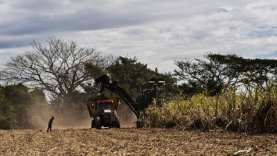 Foto: La Prensa