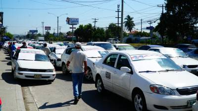 <b>Taxis colectivos legales durante una protesta en el bulevar del norte. Foto: LA PRENSA.</b>