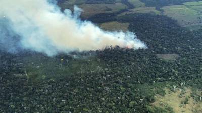 Un incendio forestal en zona rural de Calamar (Colombia).