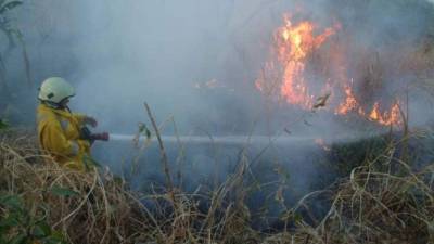 El Cuerpo de Bomberos controló rápidamente los siniestros producto de las altas temperaturas y los fuertes vientos en centroamérica.