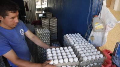 Autoridades aseguran que existe suficiente producción de huevos para atender la demanda de la época.