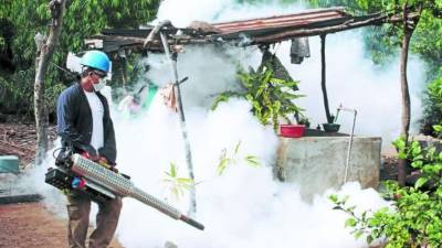 Autoridades llamaron a la población a llevar a cabo medidas de limpieza en sus casas.