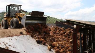 El Congreso aprobó el aumento de 12 a 15% del ISV en diciembre de 2013.