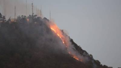 El fuego casi daña viviendas aledañas.