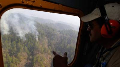 Jorge Gonzales, técnico del ICF, verifica uno de los lugares adonde hay incendios.