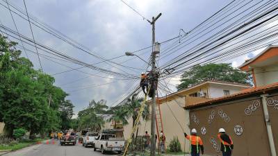 <b><span class=mln_uppercase_mln>Situación.</span></b> La caída de una rama provocó recientemente la suspensión de energía por más de nueve horas.