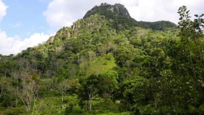 Cerro de Gallina: Está a 880 metros sobre el nivel del mar. Está entre los sitios icónicos del municipio.