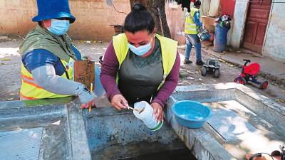 <b><span class=mln_uppercase_mln>actividad.</span></b> Los trabajadores se desplazaron casa a casa para destruir los criaderosy explicaron cómo hacer la untadita.<span class=mln_uppercase_mln> fotos amílcar izaguirre</span>