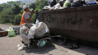 Un hombre fue registrado este jueves al buscar en un contenedor de basura materiales para reciclar, en Tegucigalpa (Honduras). Fotos: EFE