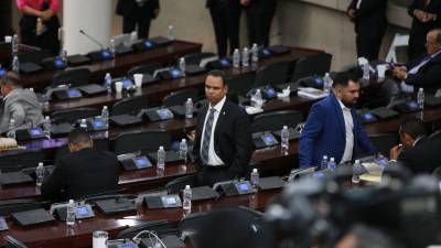 Jorge Zelaya, congresista del Partido Nacional, dijo recientemente que se debe hacer una oposición constructiva en el Congreso.
