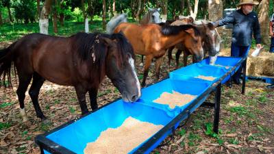 <b><span class=mln_uppercase_mln>ACTO.</span></b> Las autoridades inauguraron ayer el centro en El Ocotillo.