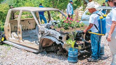 <b><span class=mln_uppercase_mln>Iniciativa.</span></b> Copán Ruinas avanza en cuidado del medio ambiente.